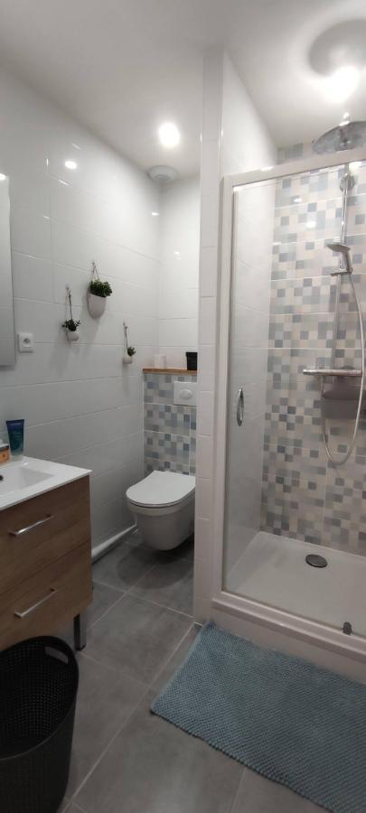 Hyper Centre-Le Regratterie-Wifi Apartment Poitiers Bagian luar foto